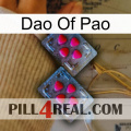 Dao Of Pao 14